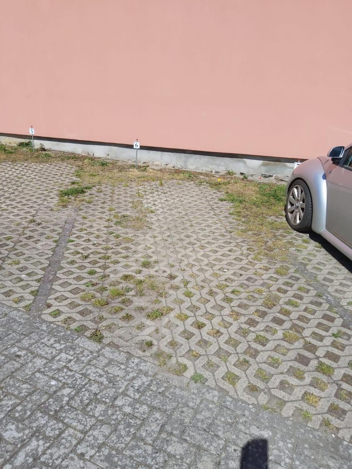 Wohnung Sonnenschein Wolgast Exterior foto